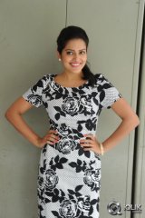 Vishaka Singh at Rowdy Fellow Movie Release Press Meet